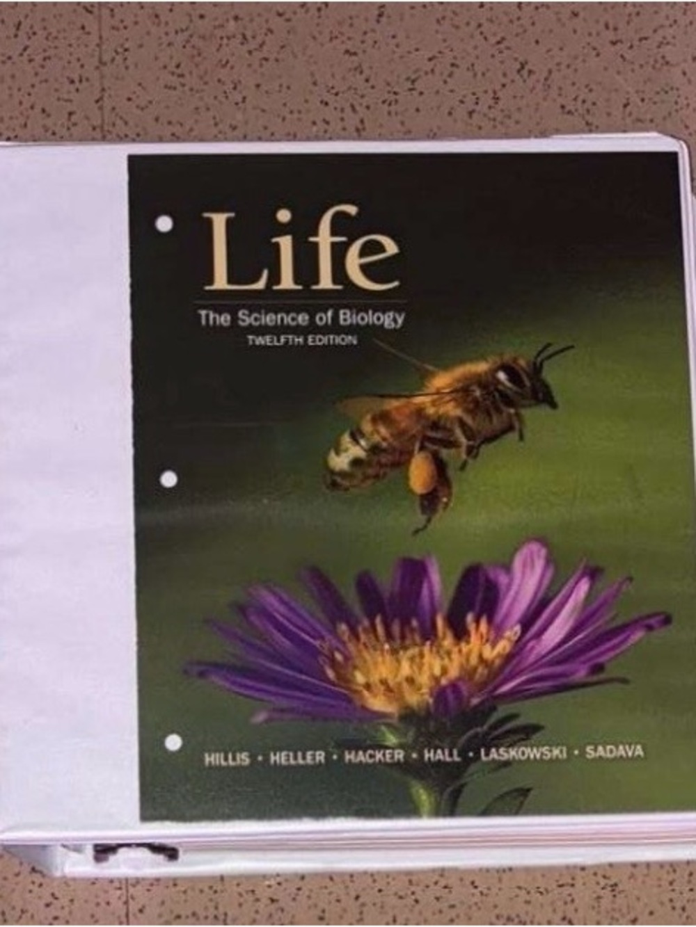 Life: The Science of Biology twelfth edition textbook
